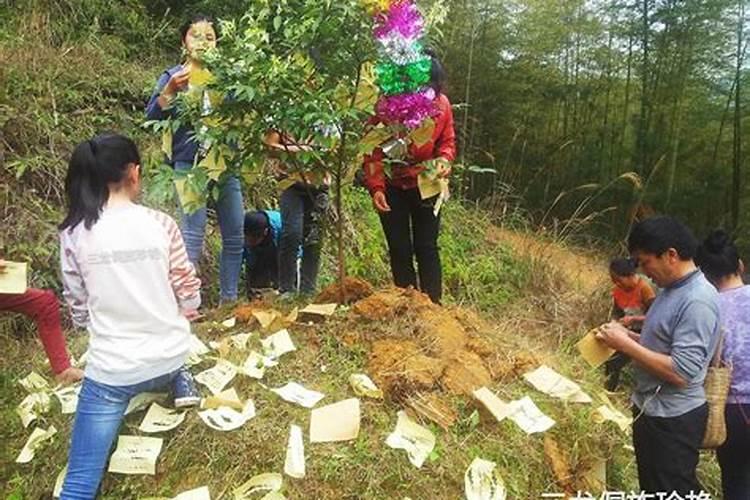 红枣代表什么象征意义 代表什么意思