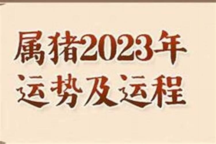 梦见和自己老婆亲吻的预兆