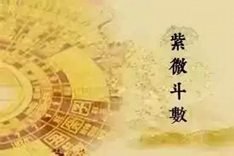 紫微斗数合婚——推算另一半的出生年份(仅供娱乐)