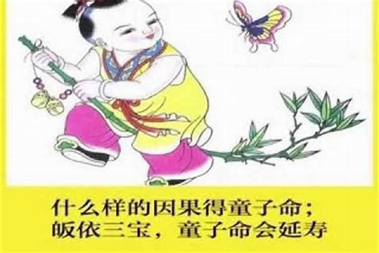 十二生肖谁的命最好