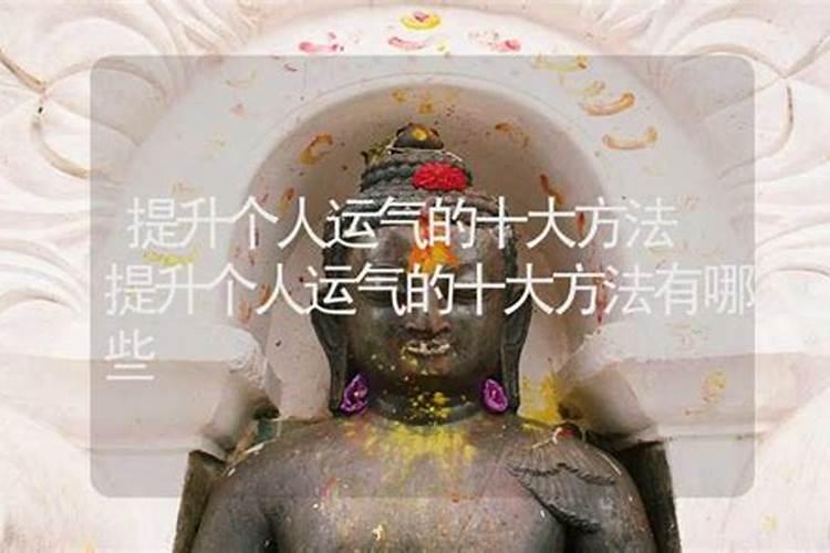哪些属相的人命好