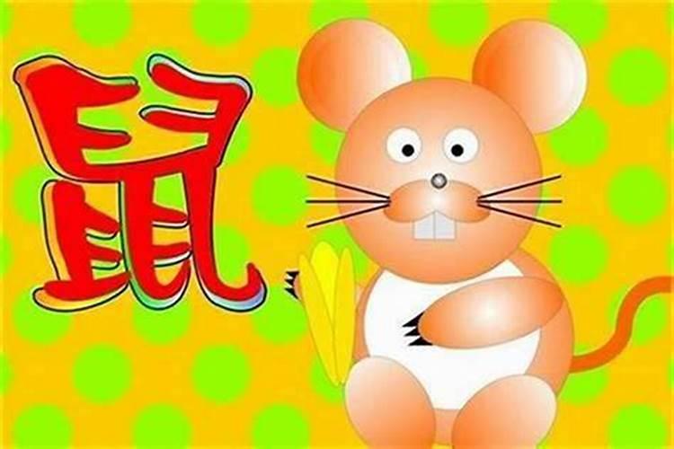 鼠年重阳节出生的男孩命好不好出生时辰哪个好