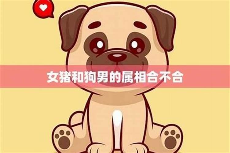 属狗女最终丈夫是谁