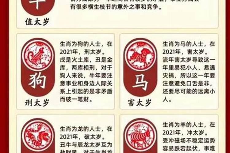 十二生肖运程2025年运势运程