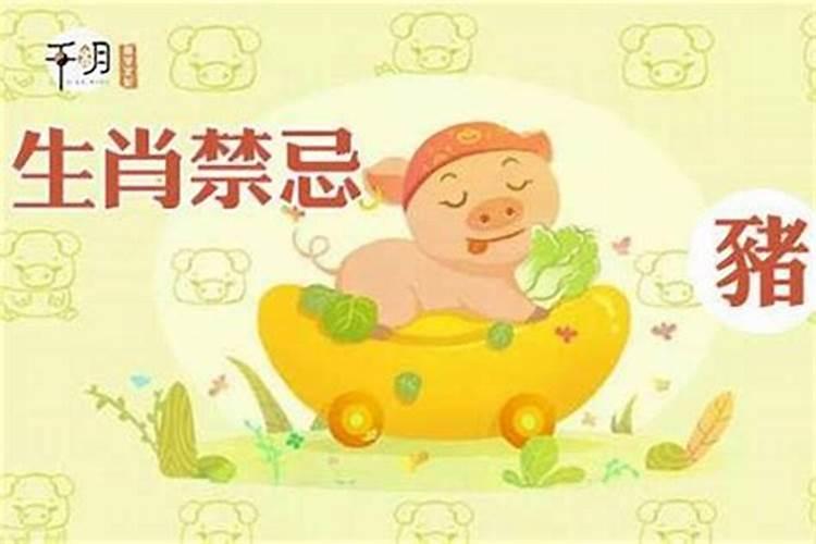 生肖猪1947年2025年运势如何 生肖猪1947年2025年全年运势