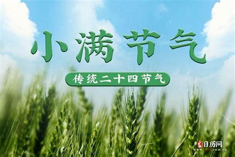 生肖虎2025年运势 属虎2025年运势及运程