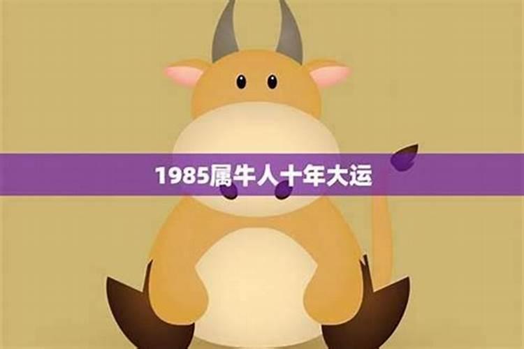 1985属牛女2025年的运气和财运怎么样