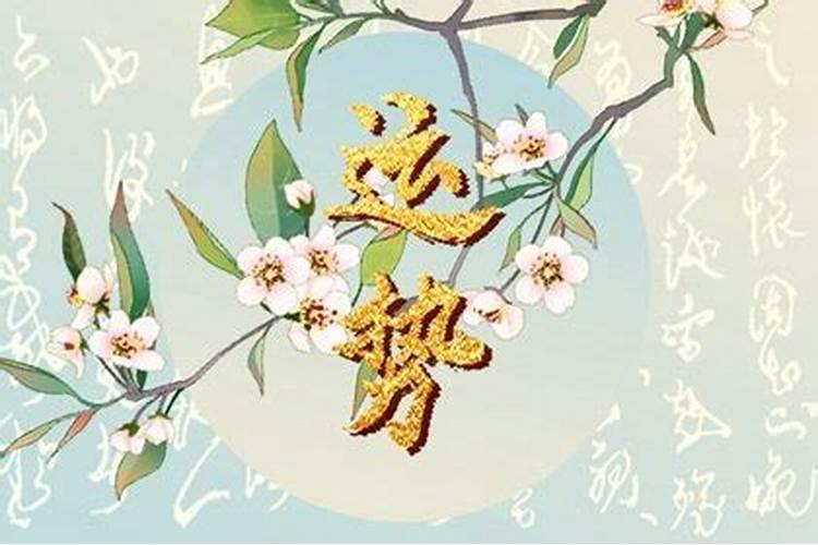 1980年属猴的运气,1980年出生属猴的运程