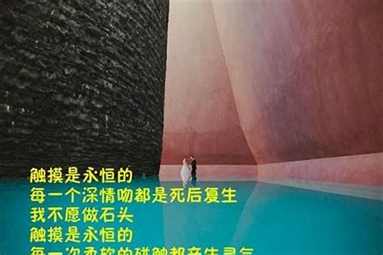 梦见大浪进身体的预兆