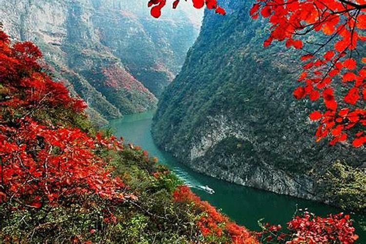 我看到一家人的墙上刻有“泰山石敢当”,这是什么意思？