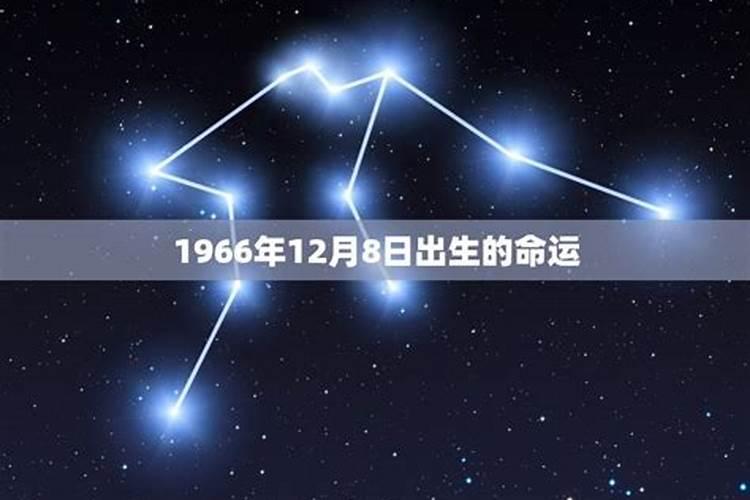 1966年农历4月15日寅出生的男性马人的命运如何