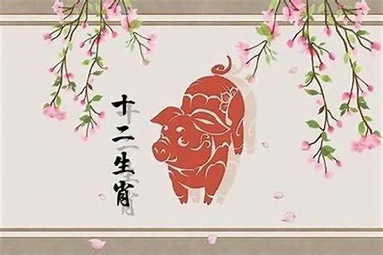 九五年闰八月的猪命非常好