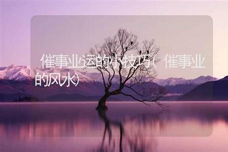 1994年十月初十早晨八点出生五行缺什么