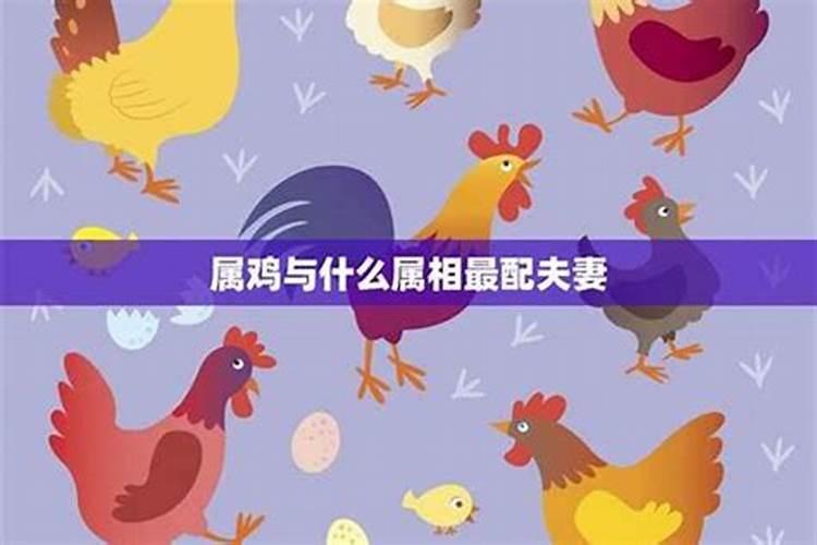 77年属蛇女2025年全年运势