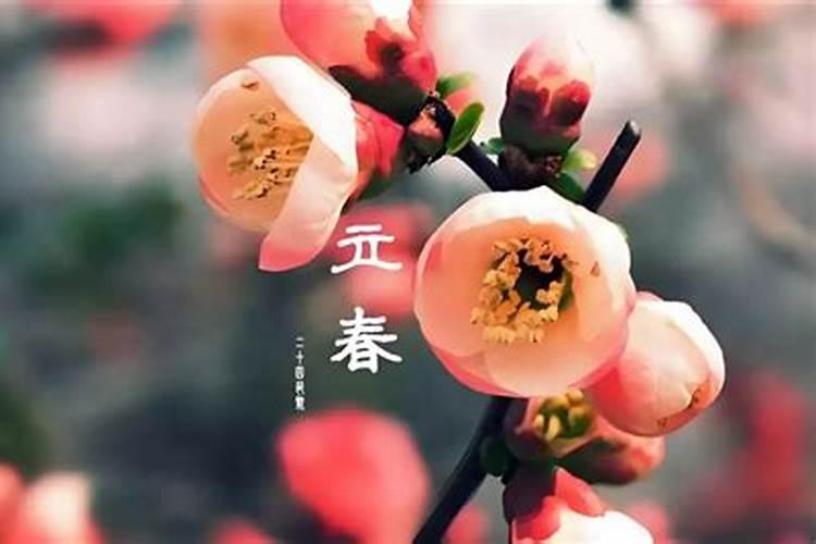 立春出生的孩子好吗 不同时间段的宝宝命运如何？