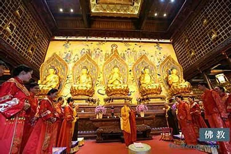 梦见大树什么意思