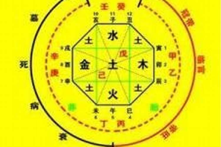 紫微斗数:紫微星在疾厄宫学习笔记