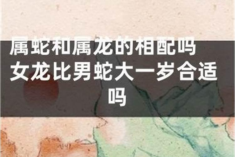 属龙的和属蛇的婚配怎么样