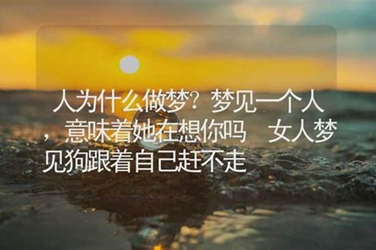 太想一个人会梦到他吗？