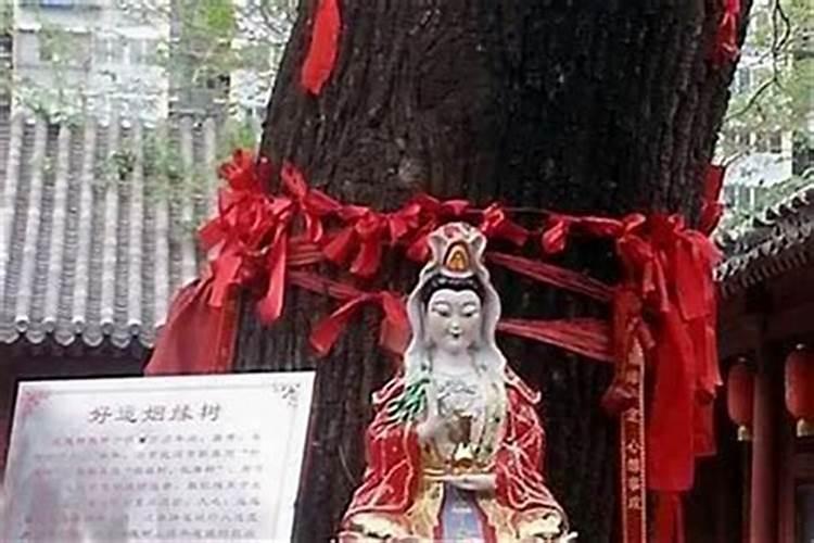 怎样查自己的财库表