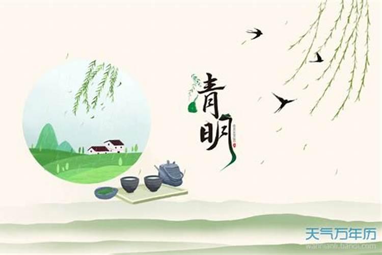 84年的鼠2025年的运势及运程