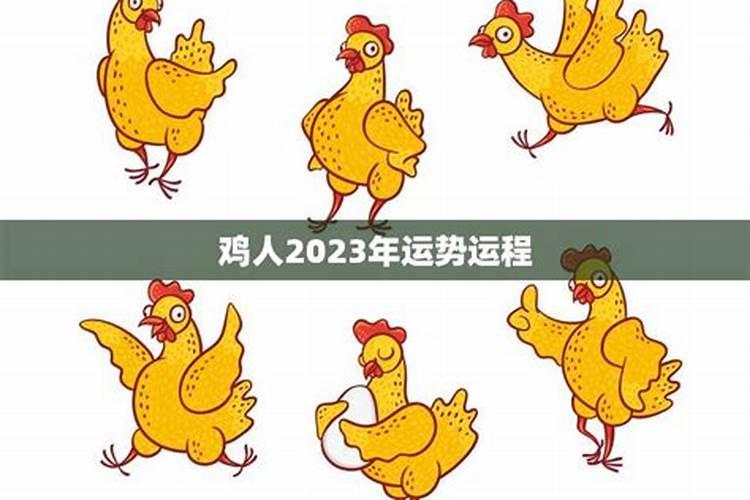 2025年属羊人的综合运势 属羊人2025年每月运势