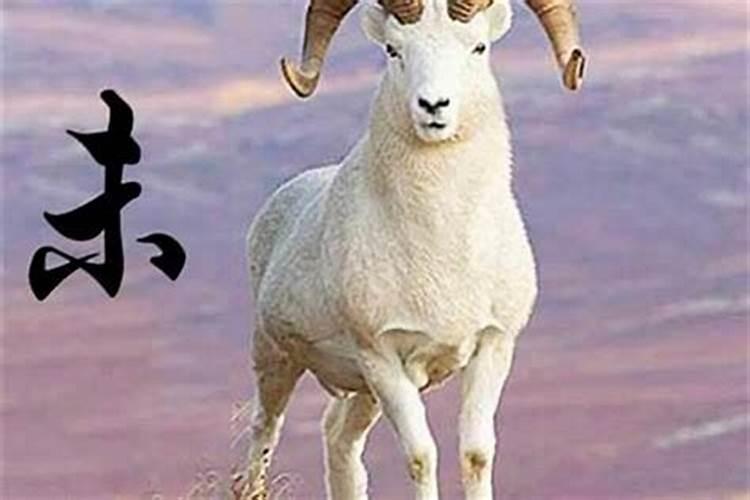 2024年最旺的生肖 龙羊狗猴运气极佳