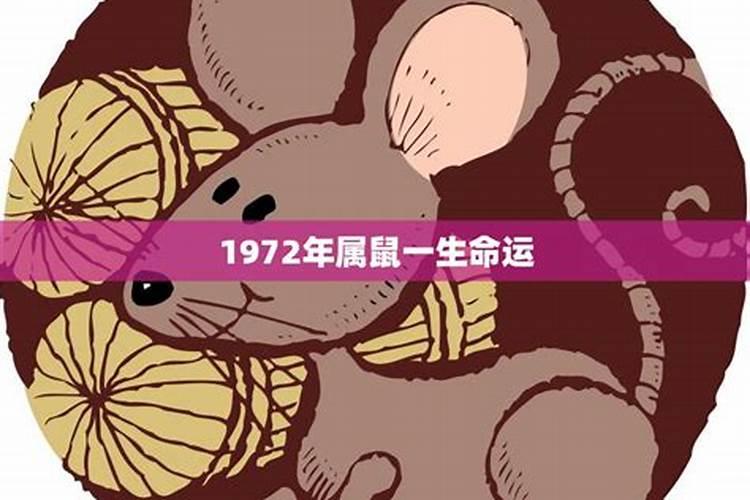 农历1982年1027日出生的是属什么星座