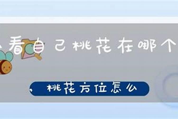 本命年蛇年要注意什么佩戴什么