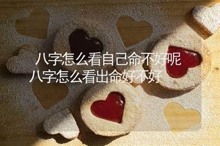 梦到超级大的老鼠寓意什么