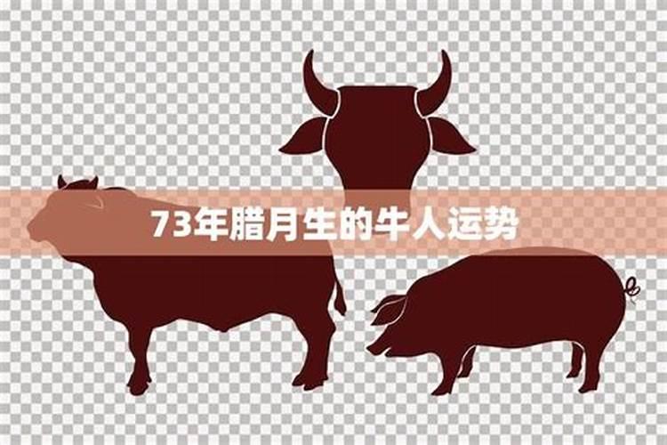牛年腊月十五生孩子好吗