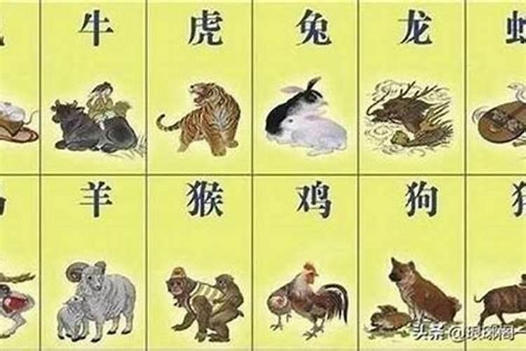 虎年哪个属相犯太岁？