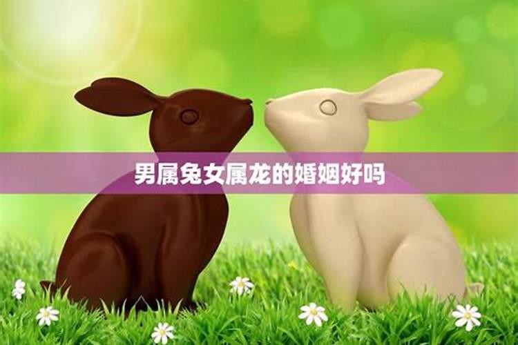 为什么属兔男和属龙女不能结婚 兔和龙合财吗