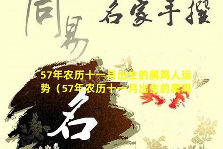 属鸡人2025年全年运势运程