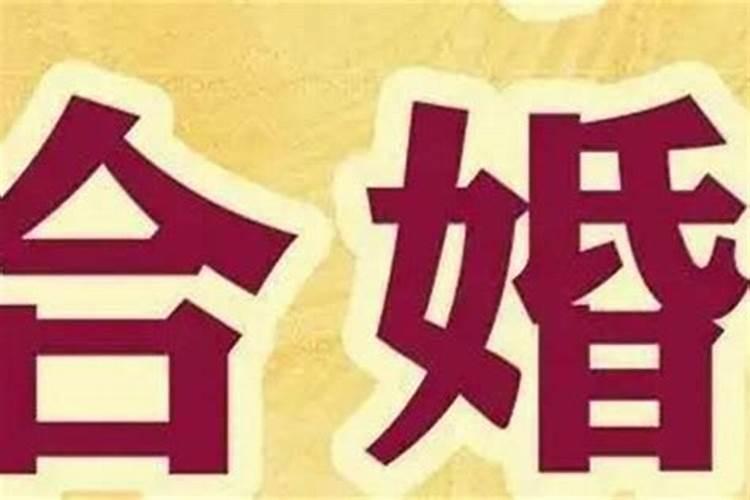 上上等婚姻是什么意思 最佳婚配组合