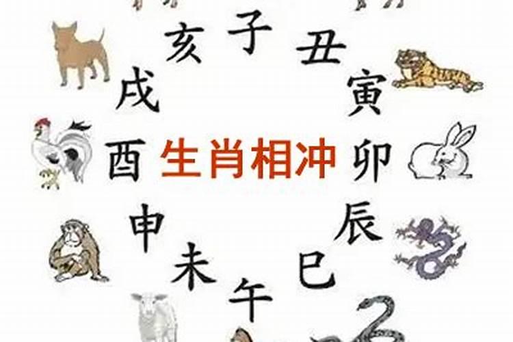 1958年属狗的阴历正月初5 是什么星