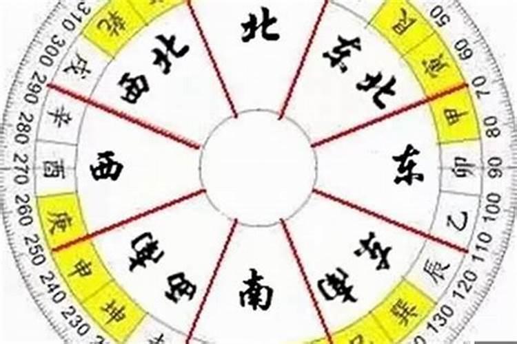 72年鼠的一生
