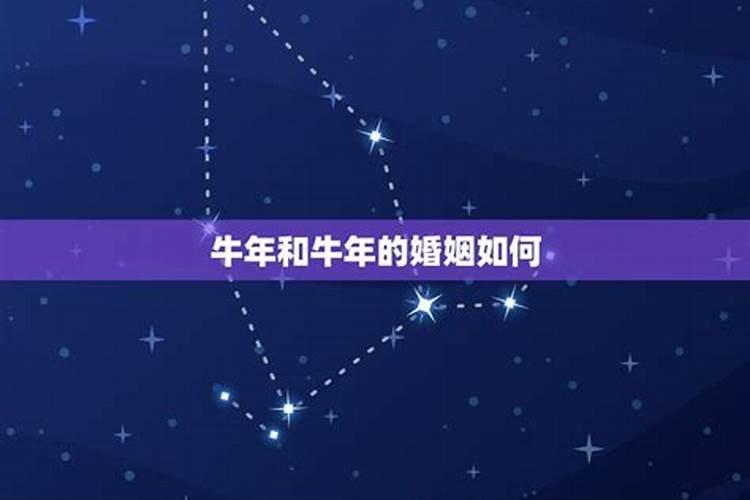 属牛属羊的相克怎么办,属羊男和属牛女谁克谁