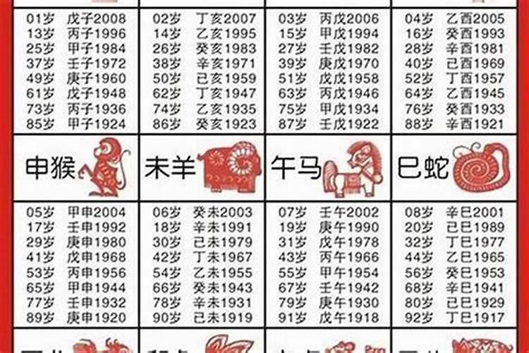 属蛇哪年运势最旺