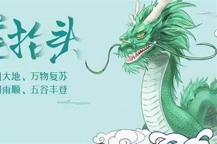 重阳节菊花有何寓意？