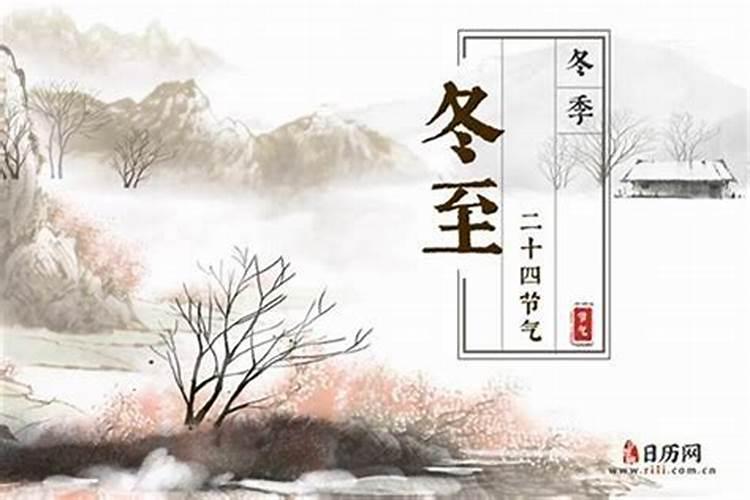 梦见汤碗里有活的乌龟