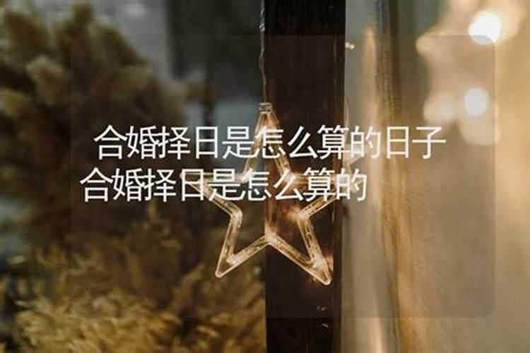 八字合婚择日文书格式,生辰八字 领证 婚礼 择日