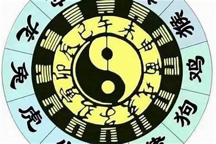 八字合婚中天干地支皆会合什么意思？来个人讲解下!