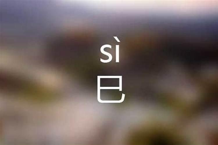 巳的含义是什么意思
