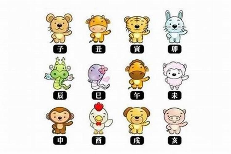 属猪男人和属狗女人相配吗