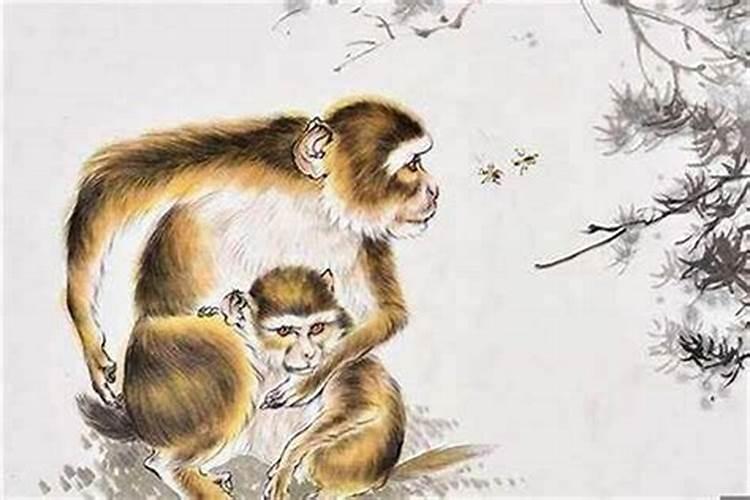 男木命,女土命结婚好不好？有什么办法化解吗？