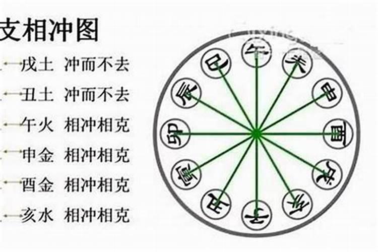 八字合婚只看生肖 准不准确？