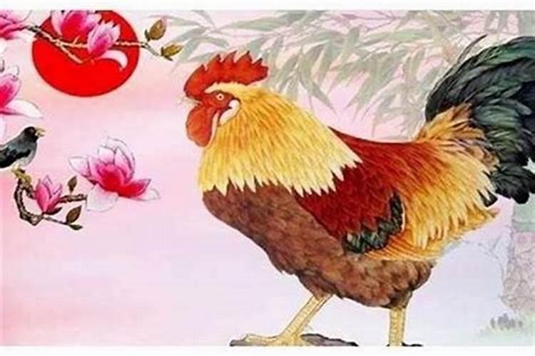 69年属鸡男2025年运势如何