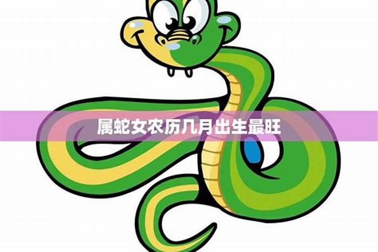 农历12月蛇的一生,蛇十二月生日命运