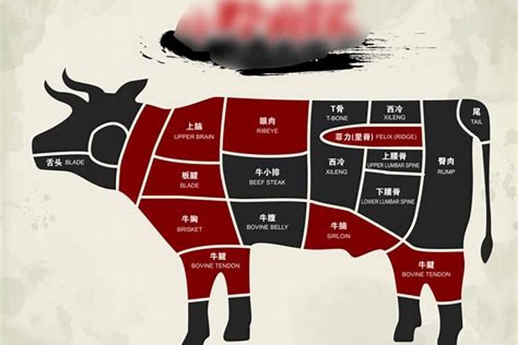 梦见杀牛分割牛肉什么意思